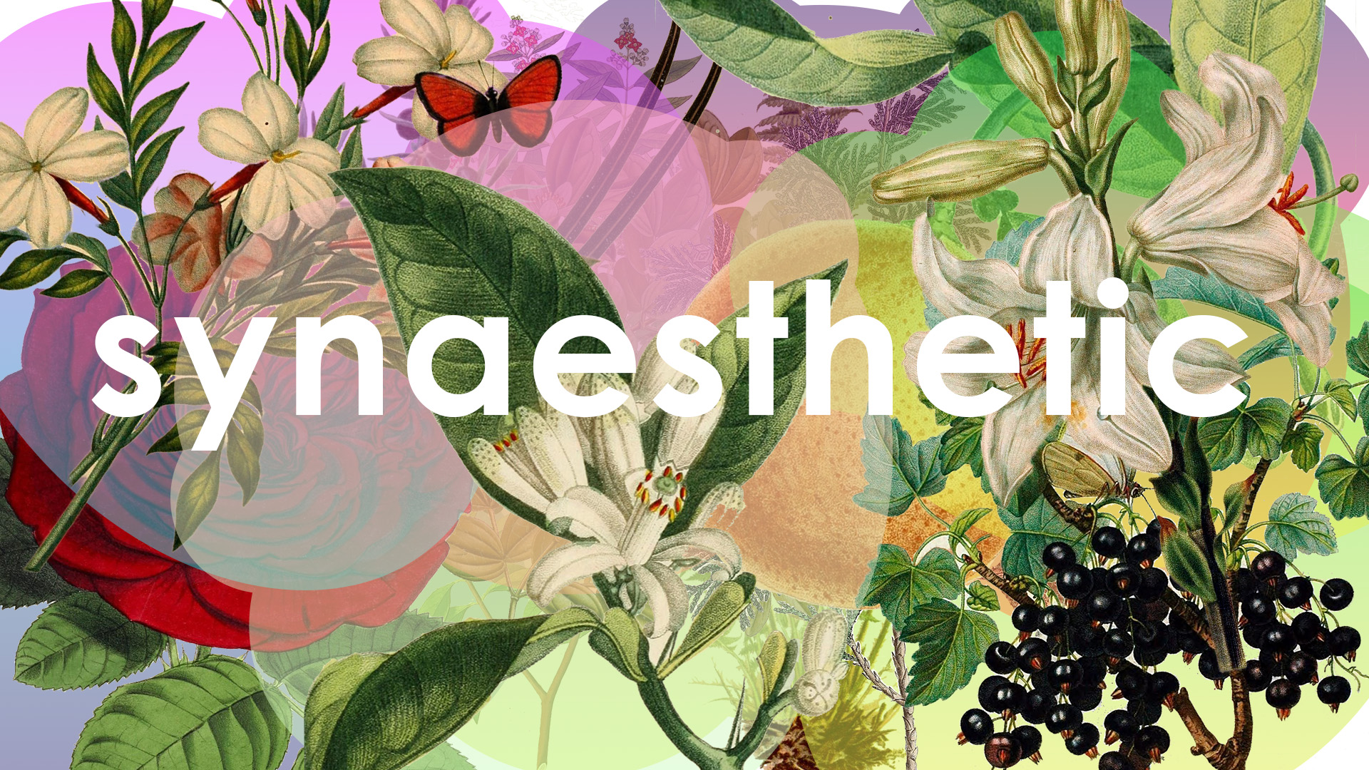 Synaesthetic